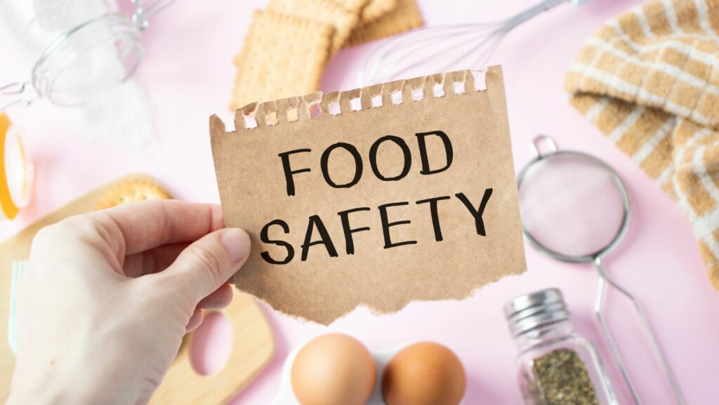 Food Safety Guidelines PDF